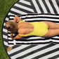 AFA Basics Solid Color Paris Daisy One-Piece Swimsuit