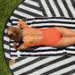 AFA Basics Solid Color Outrageous Orange One-Piece Swimsuit